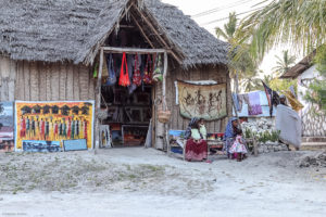 11 Zanzibar Reisetipps - Tauchen in Nungwi und Paje